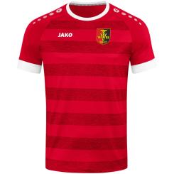 Fantrikot 